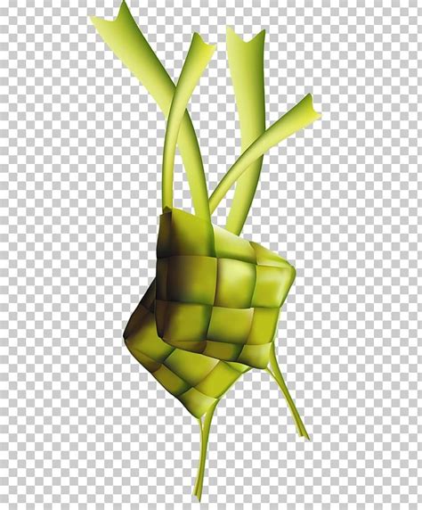 Ketupat indonesia traditional food stock vector illustration of. gambar ketupat lebaran png 10 free Cliparts | Download ...