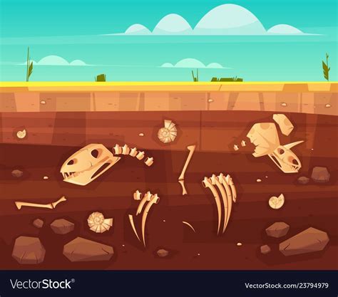 This guide shows all dinosaur bones in rdr2. Dinosaurs skeletons bones in soil layers vector image on VectorStock in 2020 | Science ...