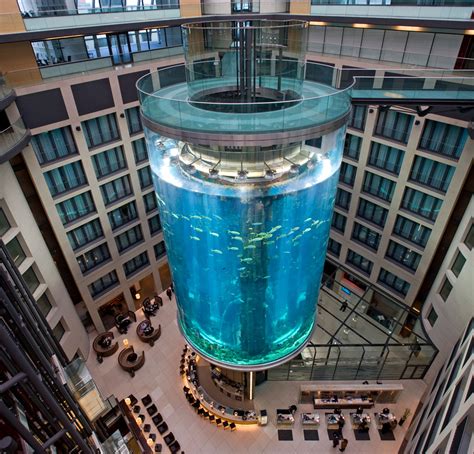 Radisson blu hotel, berlin lies about 0.9 km from the pedestrianized square alexanderplatz and offers stylish rooms with views over the river spree. radisson blu berlin - Google Search in 2020 | Sealife ...
