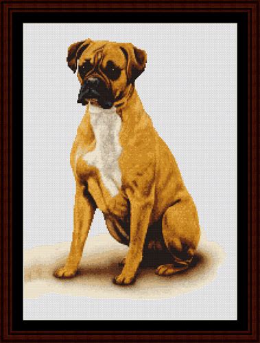 18 count, 30.20w x 28.22h cm 14 count, 38.83w x 36.29h cm 22 count, 24.71w x 23.09h cm. Boxer - Cross Stitch Collectibles fine art counted cross ...