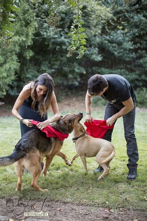 This slideshow features photos of gorgeous, young, ian somerhalder, best known for his role as boone carlyle in the popular television series lost, and for his role as damon salvatore on the cw hit show. Ian and Nikki with their fur kids | Ian somerhalder ...