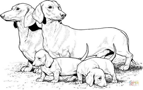 Free printable dog coloring pages. Dachshund With Puppies coloring page | Free Printable ...