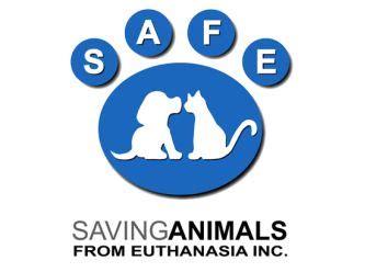 Safe pet rescue inc., saint augustine beach, fl. SAFE Bunbury (Saving Animals From Euthanasia) - PetRescue