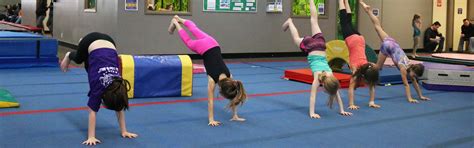 Watch the video explanation about opening a gymnastics facility| rachel marie online, article, story, explanation, suggestion, youtube. Gymnastics Open Gym for Kids | The Children's Gym