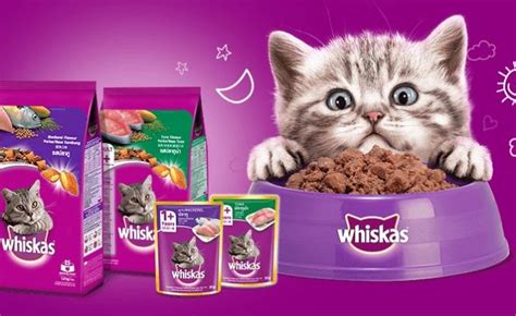 Makanan kucing persia sebenarnya sama saja dengan jenis makanan untuk kucing pada umumnya. 6 Makanan Kucing Persia yang Bagus untuk Bulu dan ...