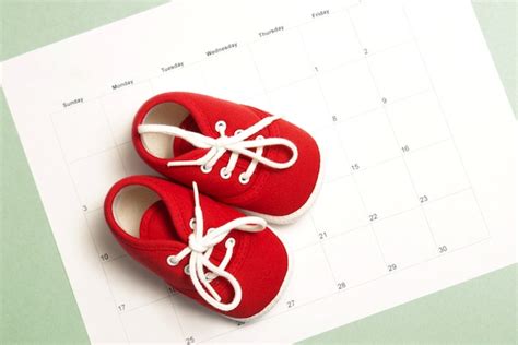 Eisprung und fruchtbare tage berechnen. Eisprung wann? - Eisprungkalender24