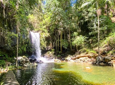 While in mount tamborine, you can spend time at the gardens and spas. The Best Mt Tamborine Accommodation for Families - Thrifty ...