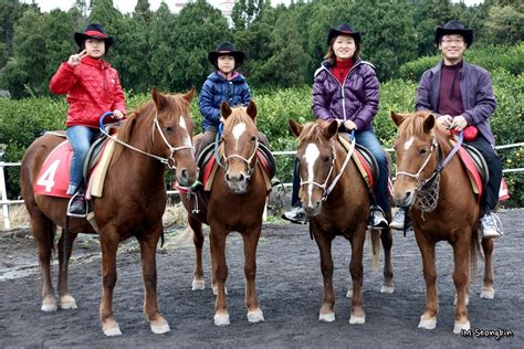 Our common interest for horses turned into a passion that we want to share. Horse-Riding (승마) | Jungmun Horse-Riding Club, Jeju (제주 중문 ...