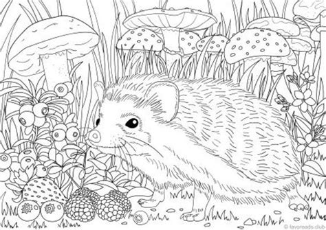 Desi chicken coloring page for kids and adults from birds coloring pages, chicks, hens and roosters coloring pages. Hedgehog Printable Adult Coloring Page from Favoreads | Etsy