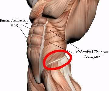 Several muscles cross the front of the hip and create hip flexion, pulling the thigh and trunk toward each other, but probably the most important is the iliopsoas. Oblique Muscle Function, Strain and Treatment | New Health ...
