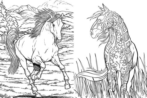 Below this is printable horse coloring pages available to download. Free Horse Coloring Pages For Adults & Kids - COWGIRL Magazine