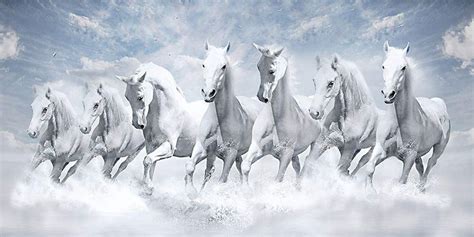 Beautiful white horses galloping orange sunset sky ultra hd wallpaper. 7 Horse Full Hd Wallpaper 1 in 2020 | Horse wallpaper ...