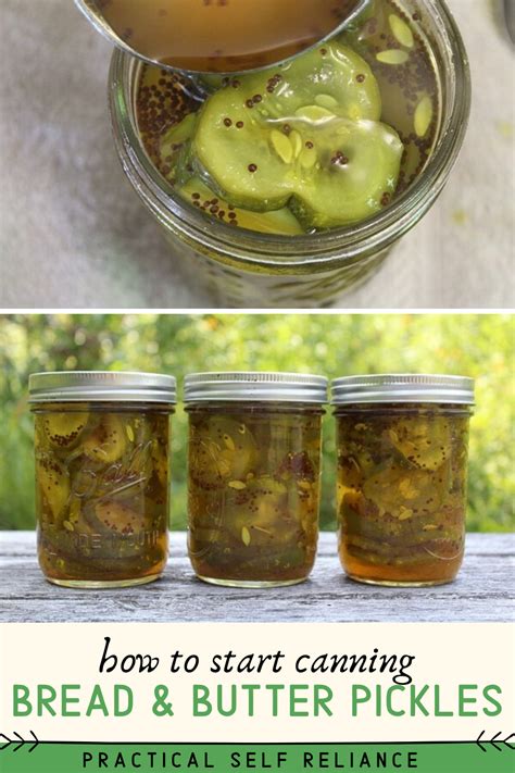 Check spelling or type a new query. Bread and Butter Pickles Canning Recipe | Recipe in 2020 ...