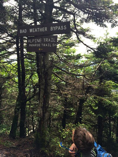 Each gap represents a missing word or phrase. Outdoorsy Mama: How the Shift from "Mom" to "Hiking ...