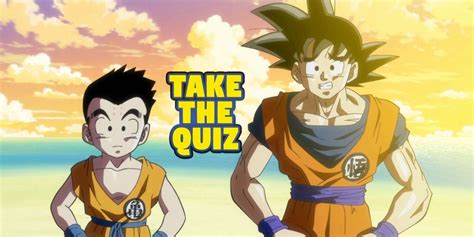 I hope you will enjoy this quiz! Dragon Ball Z Quiz Easy