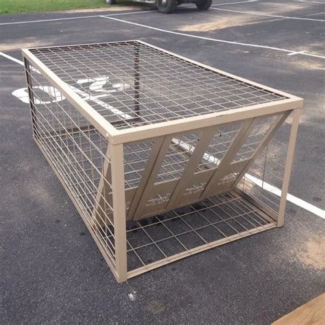 These cats, also known as alley cats or. Best Hog Trap for sale in Kerrville, Texas for 2019