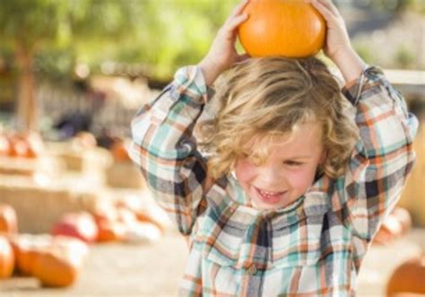 Maybe you would like to learn more about one of these? Apples, Pumpkins, Corn Mazes and Fall Fun in Central ...