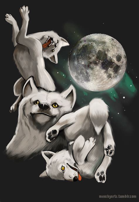 Binders full of memes | funny animal memes, moon moon. Three Wolf Moon Moon | Three Wolf Moon | Know Your Meme