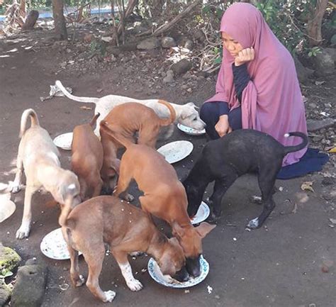 Dalam hukum positif atau hukum islam, secara umum risywah adalah sesuatu yang dilarang (haram). Bagaimana hukum memelihara anjing dalam Islam?