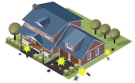 What are my options to get rid of them? Pest Control in Williamsburg, Yorktown, and Poquoson, VA
