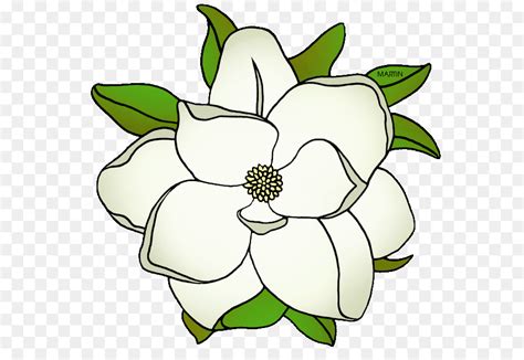 Search and download free hd flower lineart png images with transparent background online from in the large flower lineart png gallery, all of the files can be used for commercial purpose. Flower Line Art Png Download - 648*603 - #1555831 - PNG ...