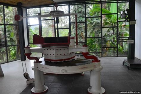 Proses pengeluaran produk teh boh. Melawat Ladang Teh Boh Sungei Palas Cameron Highland ...