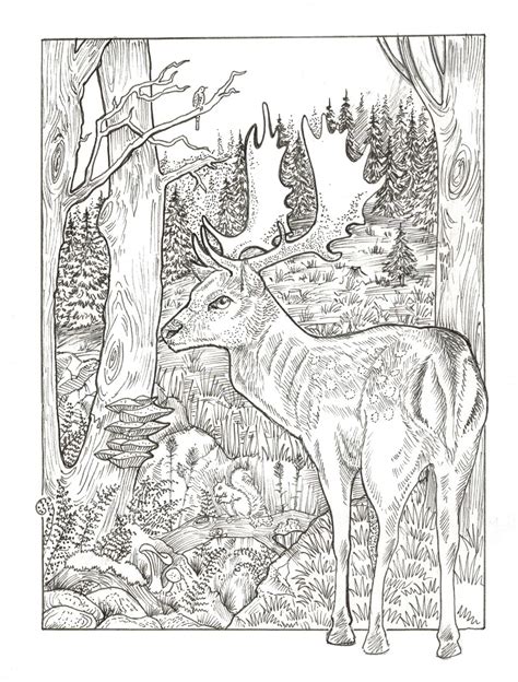 Good day folks , our todays latest coloringimage that your kids canhave fun with is animal habitats landscapes coloring pages, listed. Habitats - Black & White on Behance (With images) | Animal coloring pages, Cute coloring pages ...