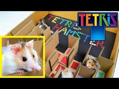 Juega al tetris gratis online, descubre la historia del tetris y aprende nuestros consejos y trucos. Tetris Clásico Gratis / Juegos De Tetris 100 Gratis ...