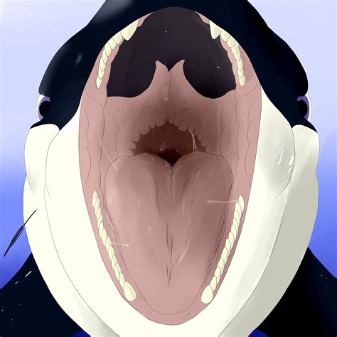 Want to discover art related to furaffinity? Whale Mawshot Furaffinity / Mermaid Whale by Bellydog ...