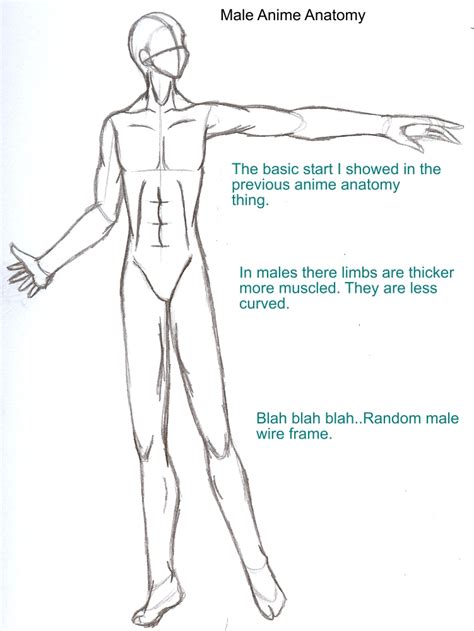 Artstation male anatomy turn hand drawn masters of anatomy. Anime Anatomy Male by OniNisou on DeviantArt