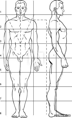 If you want to know how to draw a human face male. diagram of the human body. How to draw a person. Man. The ...