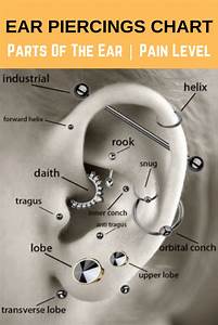 Ear Piercings Chart Ear Piercings For Men And Women Positivefox Com
