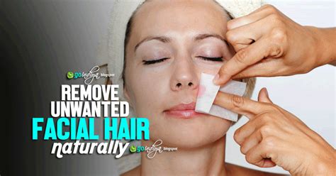 Follow this method daily for a month to remove facial hair. Natural Home remedies to Remove unwanted Facial Hair ...