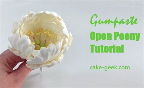 The sound is jingly, like a soft bell sound. Gumpaste Open Peony Tutorial | Gum paste, Cake tutorial ...