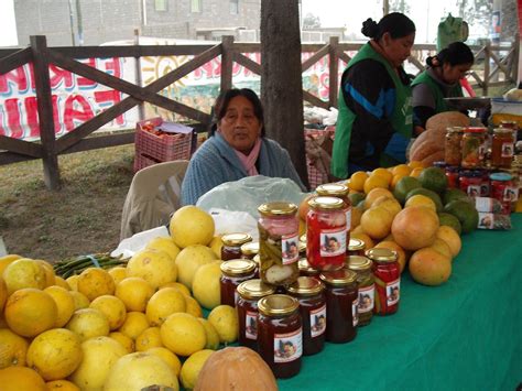 Presenta a su hijo el mundo del arte con su juego de dibujo único y fácil. Agricultura Familiar en Salta: Ferias y trueques ...