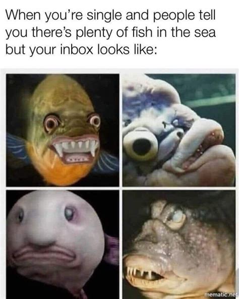 There's so many other fish in the sea, so why mess with one that's already been caught? There's plenty more fish in the sea. : memes