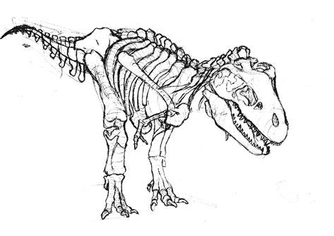 Dinosaur bones colouring in pages. Tyrannosaurus Rex Coloring Page | Skeleton drawings, Dinosaur skeleton, Skeleton template