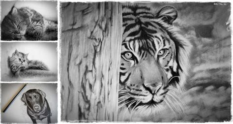 You are not required to be an artist or have comprehensive skills in artistic design to convert photo to line. How to Draw Animals Step by Step | "Drawing Animals in Pencil" Teaches People How to Make the ...