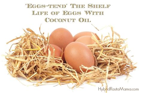 In other words, it must freely flow at all temperatures within the. How To Extend The Shelf Life of Eggs With Coconut Oil ...