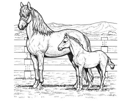 Free printable realistic coloring sheets, available on image and pdf version. Free Horse Coloring Pages For Download | Horse coloring ...