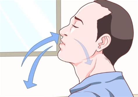 ALAT PERNAPASAN MANUSIA DAN BEBERAPA HEWAN (Materi ...