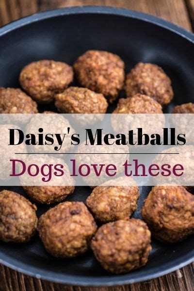 Place the pieces onto your lightly sprayed baking sheet. Daisy's Meatballs for Dogs | Recipe | Dog food recipes ...