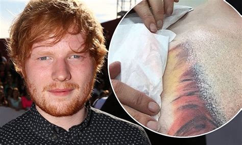 The singer has a brand new tattoo, and it's left fans questioning whether he was drunk when he decided we'd be lion if we said we were a big fan of ed sheeran's new tattoo. Ed Sheeran reveals lion tattoo is very much REAL | Daily Mail Online