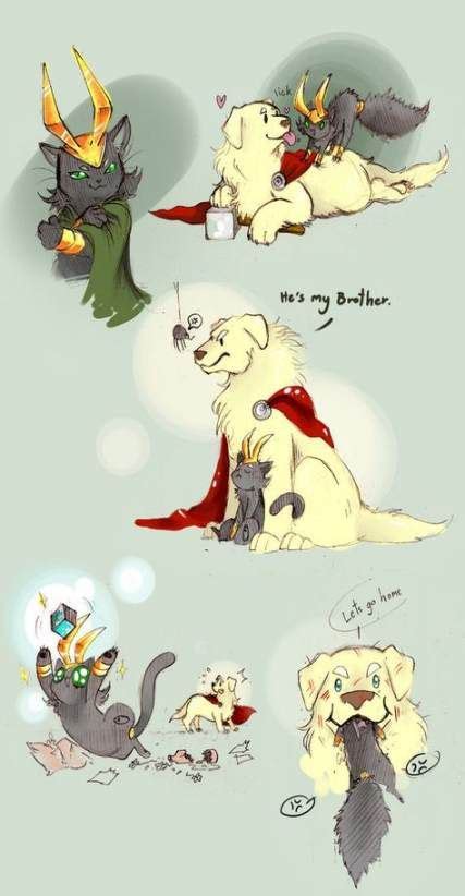 This article or section needs expansion. New Cats Love Drawing Deviantart 41+ Ideas | Loki marvel ...