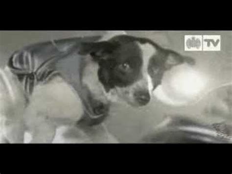 Sputnik 3 was the only soviet satellite launched in 1958. Nov. 3, 1957 - The USSR launched Sputnik 2 with one very ...