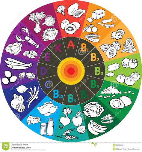 Une de ces principales fonctions est d'aider le corps à fabriquer le collagène, une protéine essentielle à la. Vitamin Wheel | Clipart Panda - Free Clipart Images