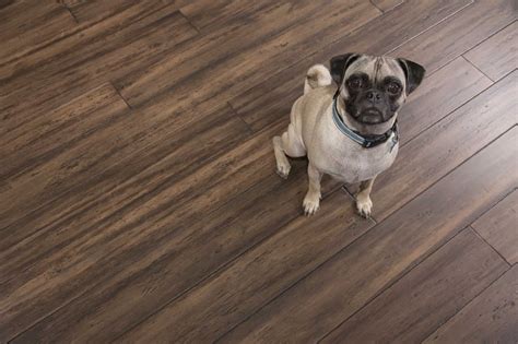Cali Bamboo Adds to Eco-Engineered Flooring Line ...