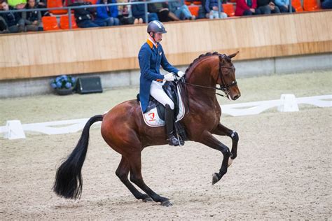 Grand prix #10 lielās balvas un lojalitātes balvas ieguvēja ilga kļaviņa (no kreisās) saņemot uzvarētāja sertifikātu, reader's digest baltijas valstu pārstāvniecību direktors juozas mačys. Expression Nederlands Kampioen Grand Prix dressuur ...