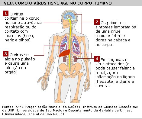 O paciente é um homem de 41 anos da província de jiangsum no leste de país. MEDICINA: Morre paciente diagnosticado com gripe aviária ...