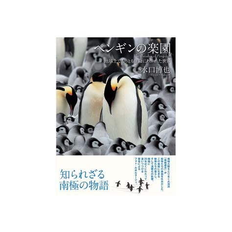 Search the world's information, including webpages, images, videos and more. 書籍「ペンギンの楽園」知られざる南極の物語 | ダイビング ...